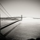 into the f 이미지