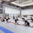 충의 K타이거즈 태권도장 이미지