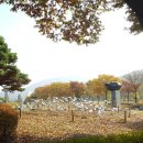 12월 5일(토) 인천대공원과 소래습지생태공원 이미지