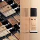 스테이조제 이미지