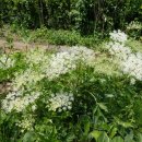 심호당한의원 이미지