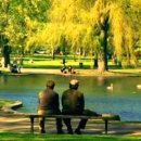 희망별자리 이미지