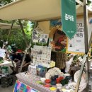 주말체험 버블버블 입욕제 만들기 이미지