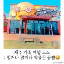 믿거나말거나박물관 | 제주 가족 여행 코스 : 믿거나 말거나 박물관 후기