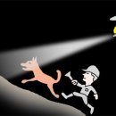 독(DOG)도 이미지