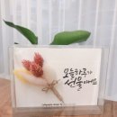 플라워와 기초캘리 이미지