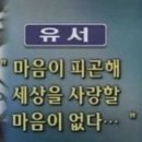 청경가든 | 2024 겨울방학 국민은행 대학생 디지털 서포터즈 활동 후기 2탄 🎀🐤👧🏻