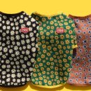 클러스터라운드 이미지