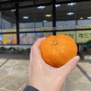 혜리네농수산
