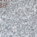 G6325 네이버블로그