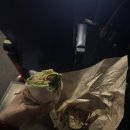 구구족산본점 | 오랜만에 주절주절