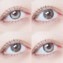 (유)라일 | 렌블링 난시렌즈 아이온리 라일링 투톤브라운 13.1 &amp; 레니카 스모키그레이 13.2