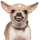 카페히릿 이미지