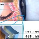 다시,봄약국 이미지