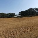 근흥목장 이미지