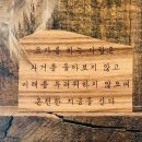 프라나요가 이미지