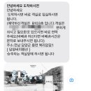 담양버치 이미지