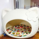 고양이 하우스 캣피하우스