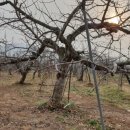 엠마누엘농장 이미지