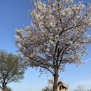 CU 선유도역점 이미지