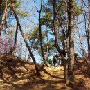 동산장 이미지