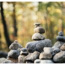 풍수명가 이미지