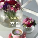 #Home#임영웅 신곡#2024.05.06.발매👨‍👩‍👦한훈가수님(Cover)👨‍👩‍👦👍좋아요 꽉 부탁드려요 😃 이미지