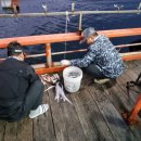 원전펜션 이미지