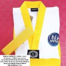 푸름태권도장 이미지