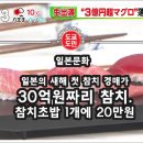 원참치 이미지