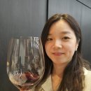미국 와인 추천 워싱턴와인의 매력을 알게된 교육 참석후기