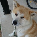 장곡농장 이미지