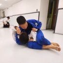 트라이스톤 주짓수 태권도 이미지