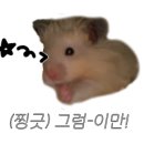 바다를 품은 보성회센타 이미지