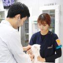 초로동물병원 이미지