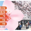 타이밍 서울경제