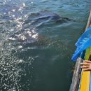 해삼농장 이미지