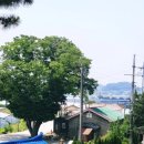 봉현1리(향촌) 네이버블로그