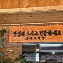 삼색보리샤브 이미지