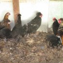 정읍부화장 이미지