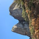 소풍가든 이미지