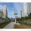 노원-상계-2020 이미지