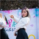 벚꽃뮤직
