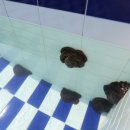 남해뜰펜션 이미지