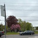 웨슬리어학원 | 캐나다 생활 79 ~ 80일차