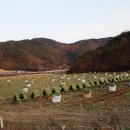 천지댁갑산댁영농조합법인 | [안동사랑][뉴스경북=안동시] 안동시 6차 산업, 마을기업에서 해답 찾는다.