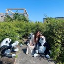 오지박 | [베니스랜드]곤돌라체험(물고기밥주기) 내돈내산 후기/서귀포테마파크