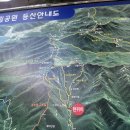안경명가 창녕점 | 경남 창녕 화왕산 억새 최단 등산코스 후기 및 주차꿀팁
