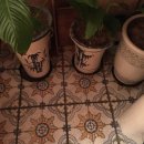 백화오락실 이미지