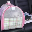 오동동162 이미지